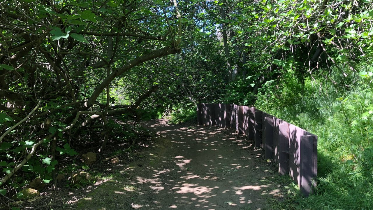 A shaded dirt trail curving through green trees, with dappled sunlight on the path.